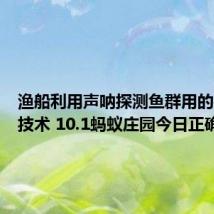 渔船利用声呐探测鱼群用的是哪种技术 10.1蚂蚁庄园今日正确答案