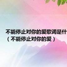 不能停止对你的爱歌词是什么意思（不能停止对你的爱）