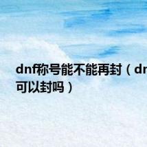 dnf称号能不能再封（dnf称号可以封吗）