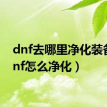 dnf去哪里净化装备（dnf怎么净化）