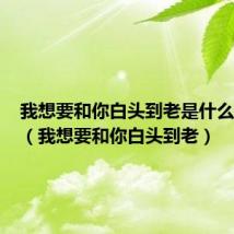 我想要和你白头到老是什么电视剧（我想要和你白头到老）