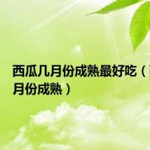 西瓜几月份成熟最好吃（西瓜几月份成熟）