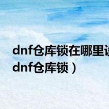 dnf仓库锁在哪里设置（dnf仓库锁）