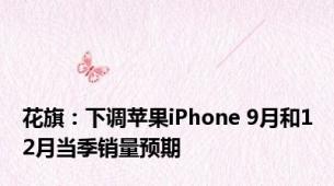 花旗：下调苹果iPhone 9月和12月当季销量预期