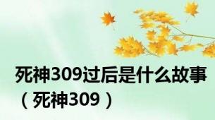 死神309过后是什么故事（死神309）