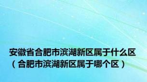 安徽省合肥市滨湖新区属于什么区（合肥市滨湖新区属于哪个区）