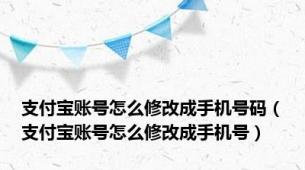 支付宝账号怎么修改成手机号码（支付宝账号怎么修改成手机号）