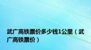 武广高铁票价多少钱1公里（武广高铁票价）