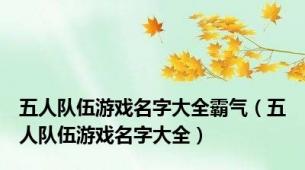 五人队伍游戏名字大全霸气（五人队伍游戏名字大全）