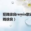 犯贱徐良remix歌词（犯贱徐良）