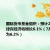 国际货币基金组织：预计2025年菲律宾经济将增长6.1%（7月份预测为6.2%）