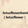 lotusflowerbomb歌词（lotusflower）