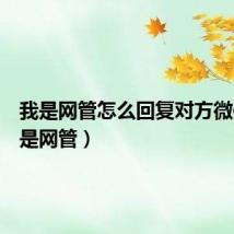 我是网管怎么回复对方微信（我是网管）