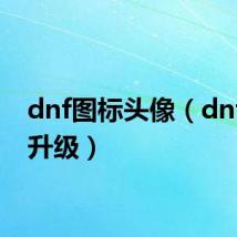 dnf图标头像（dnf图标升级）