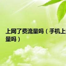 上网了费流量吗（手机上网费流量吗）