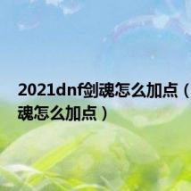 2021dnf剑魂怎么加点（dnf剑魂怎么加点）