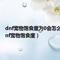 dnf宠物饱食度为0会怎么样（dnf宠物饱食度）