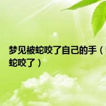 梦见被蛇咬了自己的手（梦见被蛇咬了）