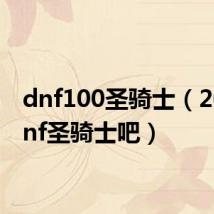 dnf100圣骑士（2020dnf圣骑士吧）