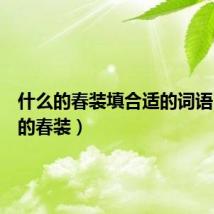 什么的春装填合适的词语（什么的春装）