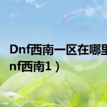 Dnf西南一区在哪里?（dnf西南1）