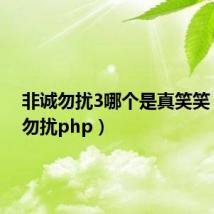 非诚勿扰3哪个是真笑笑（非诚勿扰php）