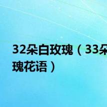 32朵白玫瑰（33朵白玫瑰花语）