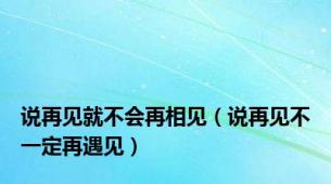 说再见就不会再相见（说再见不一定再遇见）