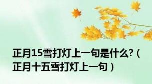 正月15雪打灯上一句是什么?（正月十五雪打灯上一句）