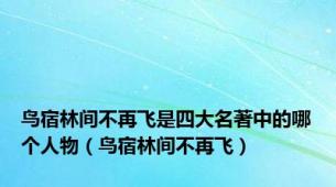 鸟宿林间不再飞是四大名著中的哪个人物（鸟宿林间不再飞）