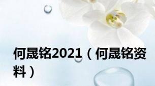 何晟铭2021（何晟铭资料）