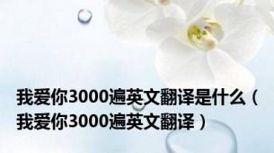 我爱你3000遍英文翻译是什么（我爱你3000遍英文翻译）