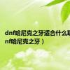 dnf哈尼克之牙适合什么职业（dnf哈尼克之牙）