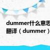 dummer什么意思中文翻译（dummer）