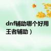 dnf辅助哪个好用（dnf王者辅助）