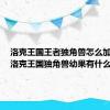 洛克王国王者独角兽怎么加果实（洛克王国独角兽幼果有什么用）