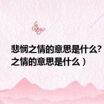 悲悯之情的意思是什么?（悲悯之情的意思是什么）