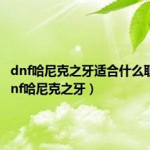 dnf哈尼克之牙适合什么职业（dnf哈尼克之牙）