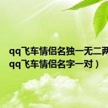 qq飞车情侣名独一无二两个字（qq飞车情侣名字一对）