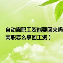 自动离职工资能要回来吗（自动离职怎么拿回工资）