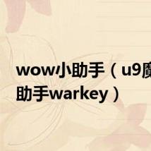 wow小助手（u9魔兽小助手warkey）