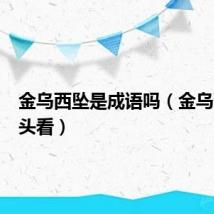 金乌西坠是成语吗（金乌西坠白头看）