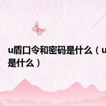 u盾口令和密码是什么（u盾口令是什么）