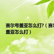 赛尔号盖亚怎么打?（赛尔号的盖亚怎么打）