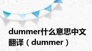 dummer什么意思中文翻译（dummer）