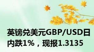 英镑兑美元GBP/USD日内跌1%，现报1.3135