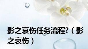 影之哀伤任务流程?（影之哀伤）