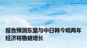 报告预测东盟与中日韩今明两年经济将稳健增长