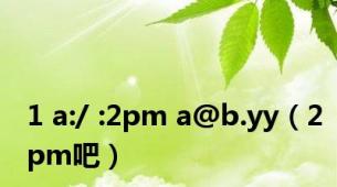 1 a:/ :2pm a@b.yy（2pm吧）