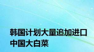 韩国计划大量追加进口中国大白菜